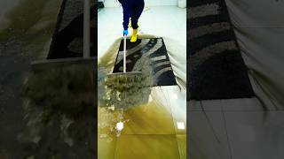 Extremely dirty shaggy rug cleaning asmr carpetcleaning oddlysatisfying satisfying top [upl. by Salangia]