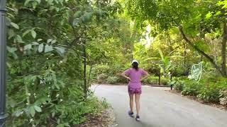 Botanic Gardens  Singapore  Bukit Timah Gate [upl. by Arahk]