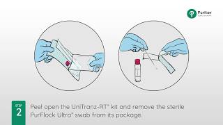 How to Swab for the Flu Collecting a Nasopharyngeal Swab Specimen [upl. by Tayler]