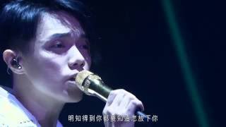 張敬軒 Hins Cheung  遙吻 Hins Live in Passion 2014 [upl. by Dino]