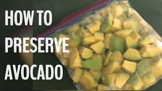 HOW TO PRESERVE AVOCADO [upl. by Jaime]