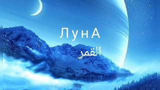 أغنية ЛУНА قمرى Gafur الروسية [upl. by Nwatna]