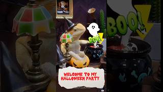 Join Beardie’s Halloween Party 🎉 🎃🦎 beardeddragon [upl. by Lilithe]