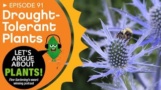 Episode 91 DroughtTolerant Plants [upl. by Secunda]