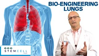 BioEngineered Lungs [upl. by Rey]