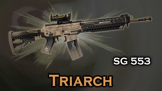 Triarch SG 553 StatTrak stickers skin preview FNMWFTWWBS — CSGO [upl. by Schinica]