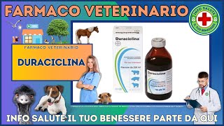 🐶 DURACICLINA Farmaco Veterinario a cosa serve   Foglietto Illustrativo 👔 Dr MAX [upl. by Heilner765]