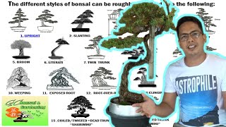 The different Styles of Bonsai Explained Beginners Guide [upl. by Schapira479]