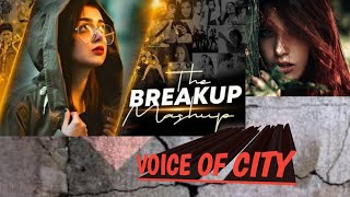 Breakup Song 2024  Sad Song In Hindi [upl. by Euqinna77]