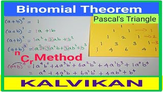 Binomial Theorem In Tamil  Class 11 Pascal Triangle  Kalvikan [upl. by Anstus487]