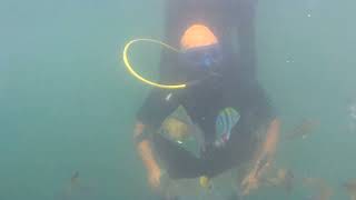 Goa Scuba diving Scammers Be aware in Goa  Island Scam [upl. by Corbett]