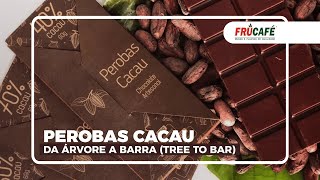 Perobas Cacau da Árvore à Barra Tree To Bar  Cacau Chocolate e Turismo Inspirese [upl. by Toddy]