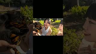 Japanning so cute girl video hardenu pany funny vlog ratankarki japan funnymemepicture vlog [upl. by Urbannai]