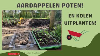 AARDAPPELEN POTEN EN KOLEN UITPLANTEN I Moestuin de Volharding [upl. by Iaoh]