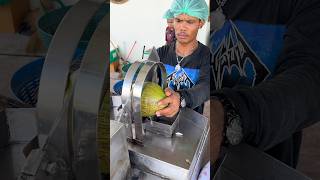 Addictive Coconut Cutting Skills of Amazing Machine [upl. by Auhel]