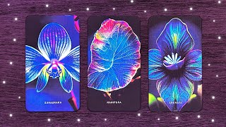 Piensa en una persona ¿Qué pasará entre los dos 🤔💜 Tarot interactivo 🚀 [upl. by Nixie]