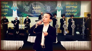 Child Soloist Mayer Rosinger  Shira Choir  Motty Miller  ילד הפלא מאיר רוזינגר  גערוישן אין הימל [upl. by Rodmun]