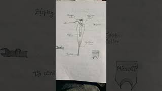 Micropipette observation practical and uses BSc Zoology zoology biotech biology lab practical [upl. by Yasibit223]