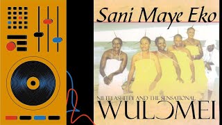 Wulomei Songs Mix  Ghana Music  Ga Songs Vol 8 [upl. by Malet237]