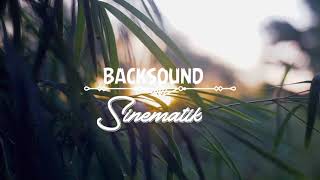 BACKSOUND SUARA BURUNG BERKICAU BIKIN RELAX no copyright [upl. by Ahseuqram]