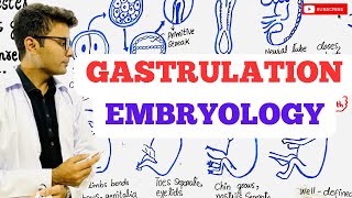 Embryology  Gastrulation [upl. by Anelaf338]