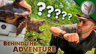 Why I Let a Snapping Turtle Bite Me [upl. by Kazue]