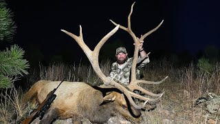 GIANT ARIZONA ELK  Hunting BUGLING Bulls [upl. by Ativak]