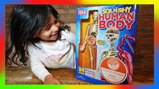 SQUISHY Human Body Skeleton Toy Review  educational toys for kids episode 47 [upl. by Licec676]