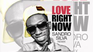 Ricky Blaze  Love Right Now Sandro Silva Remix Official Audio [upl. by Ahsain]