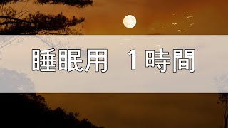 【睡眠用 １時間】広告無し。100の雑学聞き流し。癒しのBGM付き【睡眠導入】【作業用】  Sleep BGM [upl. by Enovahs]