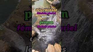 Déterminant quelquellequelsquelles Pronom lequellaquelle… frenchlanguage frenchgrammar [upl. by Nnave]