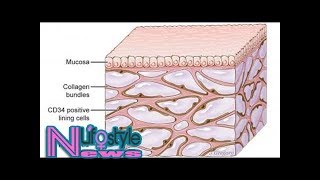 Newfound organ had been missed by standard method for visualizing anatomy [upl. by Bowers]