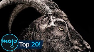 Top 20 Terrifying Horror Movie Animals [upl. by Nim96]