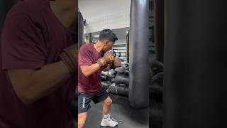 Heavy Bag Work With Franks Noble Art Bag Gloves [upl. by Nnazil]