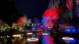 12 Days of Christmas at Butchart Gardens butchartgardens 12daysofchristmas christmaslights [upl. by Halette]