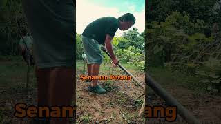 Senaman petang [upl. by Leff]