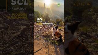 Plogging chileno cerro abajo trailrunning sambombazoproject plogging dog bordercollie dog [upl. by Jeu]