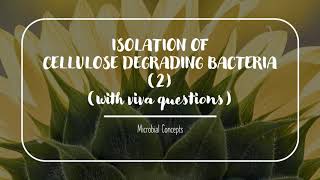 Isolation of CELLULOSE DEGRADING BACTERIA 2 with viva ques  MSc Microbiology practical series [upl. by Esmerolda568]