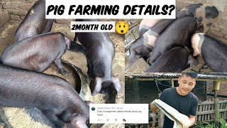 Pig farming deatails  in Nagaland India 😍  feed cost full details [upl. by Lincoln107]