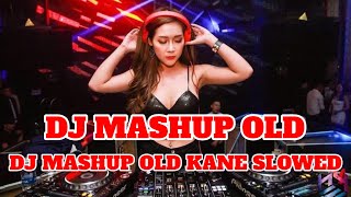 DJ MASHUP OLD KANE SLOWED DJ TIK TOK TERBARU 2024 [upl. by Anwadal]