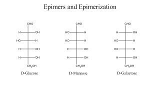 Epimers and Epimerization [upl. by Anaiek]