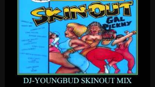 SKINOUT GAL MIXTAPE APRIL DJYOUNGBUDAIDONIABUSYSIGNALRDXCHARLYBLACKVYBZKARTELDEMARCO [upl. by Haland772]