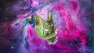 🐸 Mystical Egyptian Frog Drondallion  Trippy Animated Music Cartoon 🎶 [upl. by Annekam541]