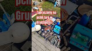 Pchli targ w Grudziądzu music [upl. by Alur]