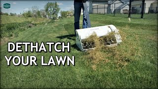 How To DETHATCH And FIX Your LAWN [upl. by Avictor]