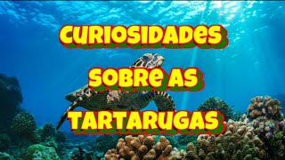 Curiosidades sobre as tartarugas [upl. by Eugenides850]