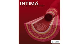 INTIMA Everolimus eluting coronary stent system [upl. by Ardnosac514]