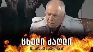 ცხელი ძაღლი  სეზონი 1 სერია 9 [upl. by Ynnaf]