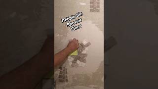 Pebble shower Floor diy tiling shorts pebbletile [upl. by Grodin]