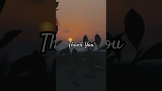 Thank You Positive Evening Affirmations For Women YouTubeShorts Gratitude AffirmationsShortVideo [upl. by Gabriela]